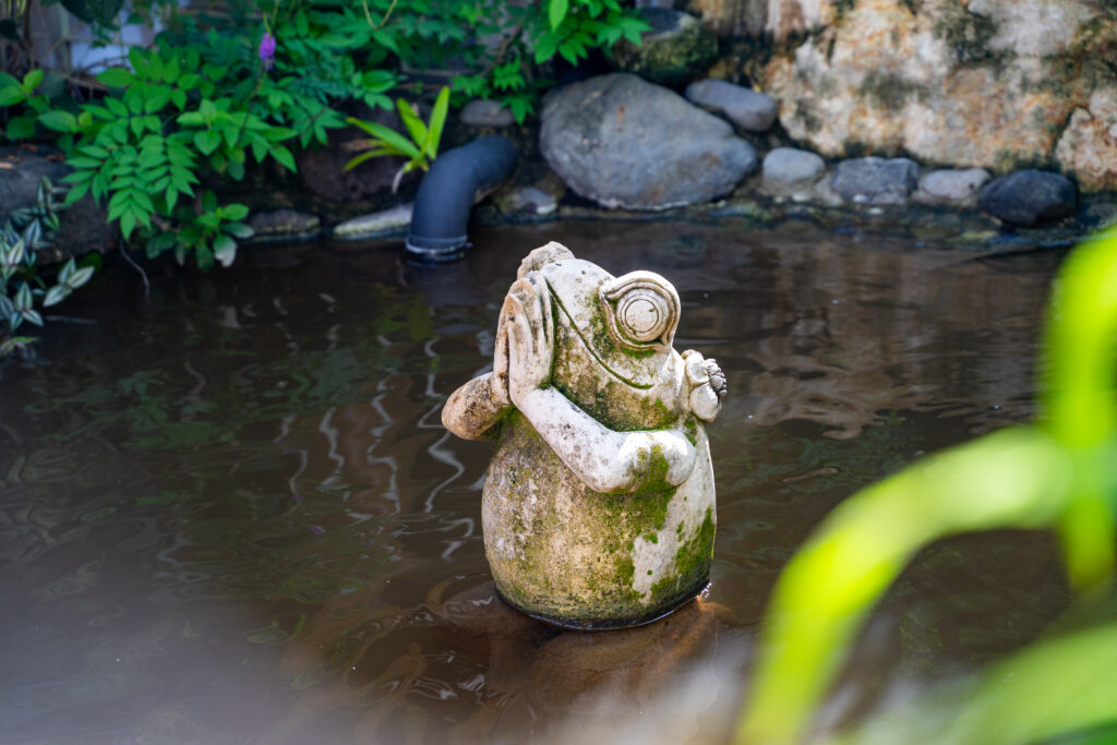 Stone statute of a frog with hands in prayer position