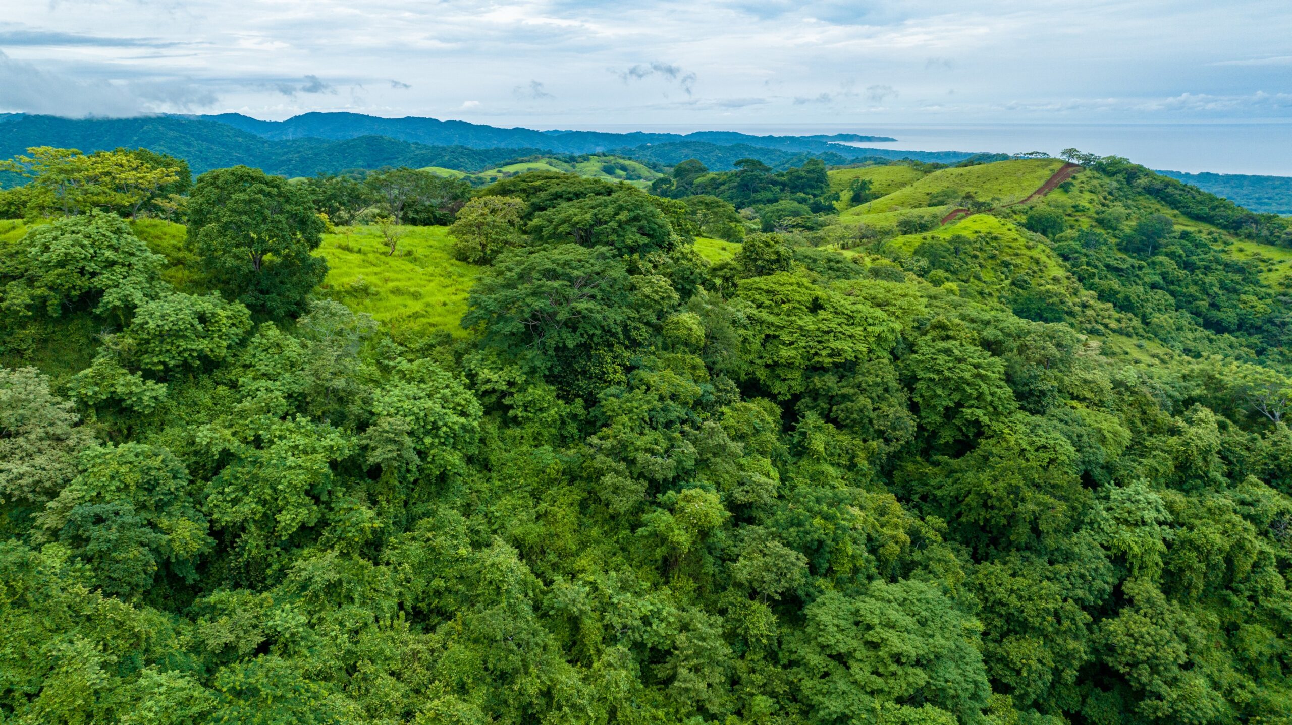Aerial shot of Costa Rican jungle with the sky in the background
